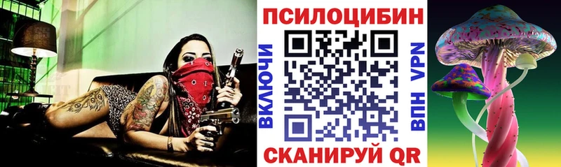 Галлюциногенные грибы Cubensis KRAKEN маркетплейс Малаховка маркетплейс телеграм где купить наркоту